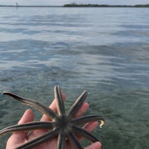 Meet your Posher, Elle